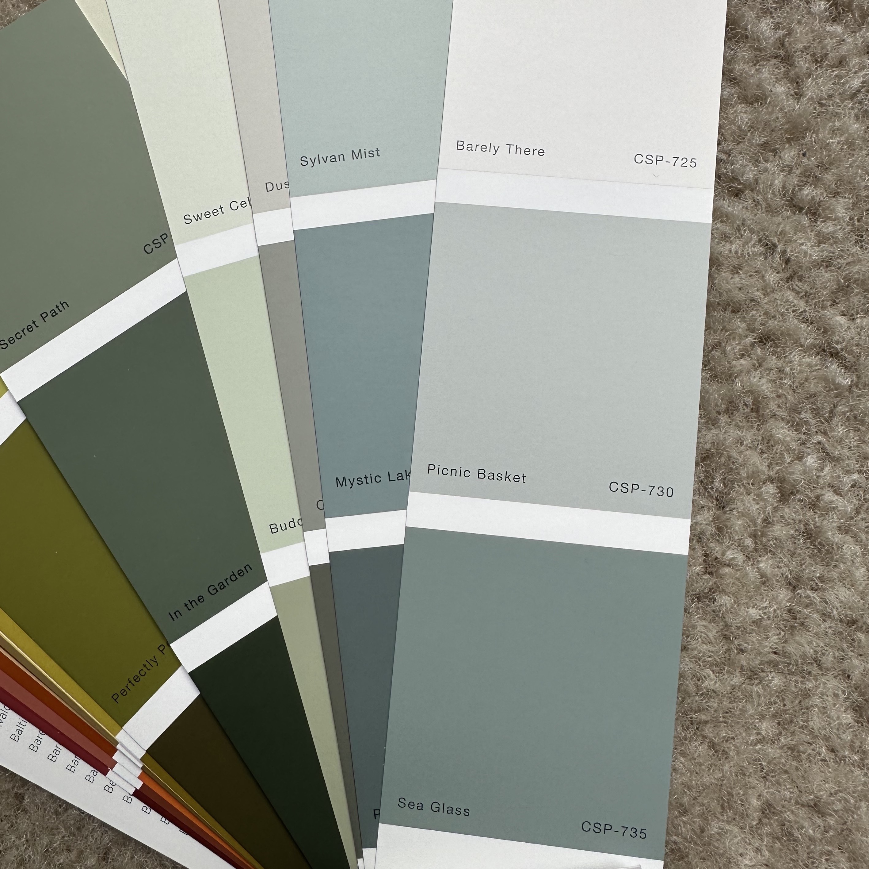 Unveiling the new color trends of 2024